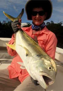 Read more about the article All About Jack Crevalle