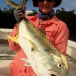 All About Jack Crevalle